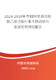 2024-2030年中国甲氧基肉桂酸乙基己酯行业市场调研与发展前景预测报告