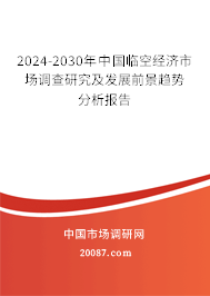 2024-2030年中国临空经济市场调查研究及发展前景趋势分析报告