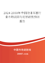 2024-2030年中国泡沫耳塞行业市场调研与前景趋势预测报告