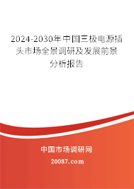 2024-2030年中国三极电源插头市场全景调研及发展前景分析报告