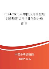 2024-2030年中国少儿编程培训市场现状与行业前景分析报告