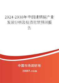 2024-2030年中国速螨酮产业发展分析及投资前景预测报告