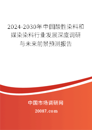 2024-2030年中国酸性染料和媒染染料行业发展深度调研与未来前景预测报告