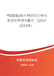 中国铜阳极市场研究分析与发展前景预测报告（2024-2030年）