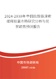 2024-2030年中国盐酸氨溴索缓释胶囊市场研究分析与前景趋势预测报告