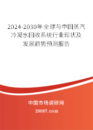 2024-2030年全球与中国蒸汽冷凝水回收系统行业现状及发展趋势预测报告