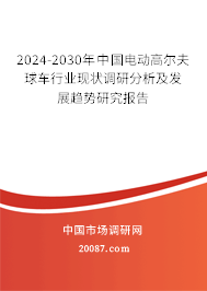 2024-2030年中国电动高尔夫球车行业现状调研分析及发展趋势研究报告