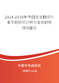 2024-2030年中国急支糖浆行业专题研究分析与发展趋势预测报告