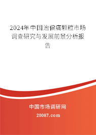 2024年中国治偏痛颗粒市场调查研究与发展前景分析报告