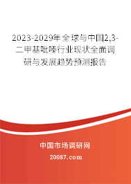 2023-2029年全球与中国2,3-二甲基吡嗪行业现状全面调研与发展趋势预测报告