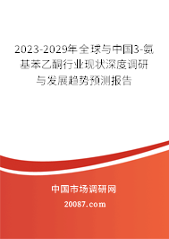 2023-2029年全球与中国3-氨基苯乙酮行业现状深度调研与发展趋势预测报告