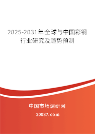 2025-2031年全球与中国彩钢行业研究及趋势预测 2025-2031年全球与中国彩钢行业研究及趋势预测