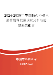 2024-2030年中国持久不脱色唇膏唇釉发展现状分析与前景趋势报告