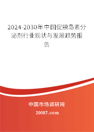 2024-2030年中国促胰岛素分泌剂行业现状与发展趋势报告