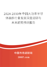 2024-2030年中国大功率半导体器件行业发展深度调研与未来趋势预测报告