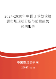 2024-2030年中国丁苯酞软胶囊市场现状分析与前景趋势预测报告