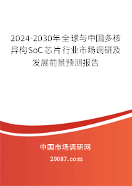 2024-2030年全球与中国多核异构SoC芯片行业市场调研及发展前景预测报告