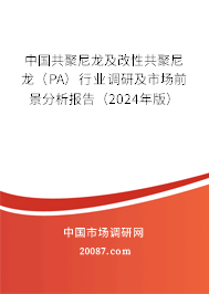 中国共聚尼龙及改性共聚尼龙（PA）行业调研及市场前景分析报告（2024年版）