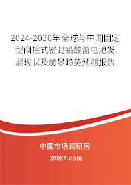 2024-2030年全球与中国固定型阀控式密封铅酸蓄电池发展现状及前景趋势预测报告