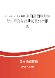 2024-2030年中国晶圆级封装行业研究与行业前景分析报告