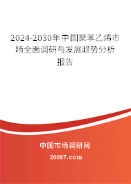 2024-2030年中国聚苯乙烯市场全面调研与发展趋势分析报告