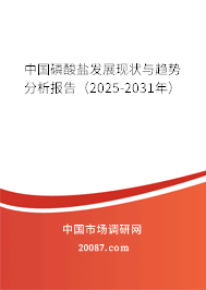 中国磷酸盐发展现状与趋势分析报告(2025-2031年) 中国磷酸盐发展现状与趋势分析报告(2025-2031年)