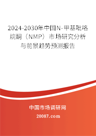 2024-2030年中国N-甲基吡咯烷酮（NMP）市场研究分析与前景趋势预测报告