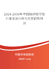 2024-2030年中国输卵管导管行业发展分析与前景趋势预测