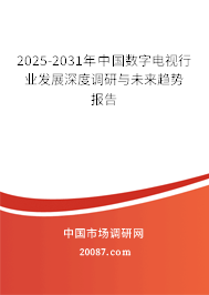 2025-2031年中国数字电视行业发展深度调研与未来趋势报告 2025-2031年中国数字电视行业发展深度调研与未来趋势报告