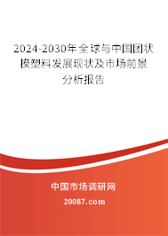 2024-2030年全球与中国团状模塑料发展现状及市场前景分析报告