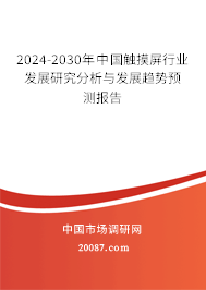 2024-2030年中国触摸屏行业发展研究分析与发展趋势预测报告