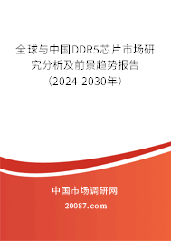 全球与中国DDR5芯片市场研究分析及前景趋势报告（2024-2030年）