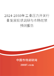 2024-2030年工业压力开关行业发展现状调研与市场前景预测报告