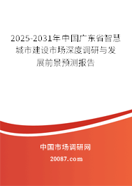 2025-2031年中国广东省智慧城市建设市场深度调研与发展前景预测报告 2025-2031年中国广东省智慧城市建设市场深度调研与发展前景预测报告