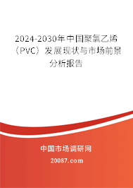 2024-2030年中国聚氯乙烯（PVC）发展现状与市场前景分析报告