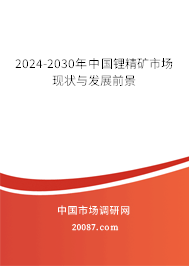 2024-2030年中国锂精矿市场现状与发展前景