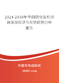 2024-2030年中国硫化氢检测器发展现状与前景趋势分析报告