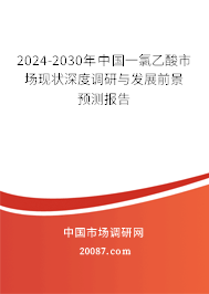 2024-2030年中国一氯乙酸市场现状深度调研与发展前景预测报告