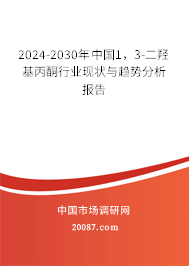 2024-2030年中国1，3-二羟基丙酮行业现状与趋势分析报告