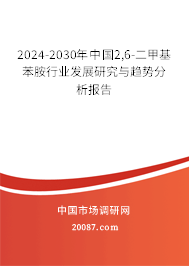 2024-2030年中国2,6-二甲基苯胺行业发展研究与趋势分析报告