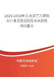 2024-2030年匹米诺丁乙磺酸盐行业深度调研及未来趋势预测报告