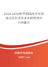 2024-2030年中国晶片式电管器当前现状及未来趋势预测分析报告