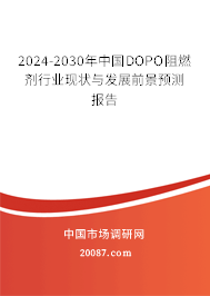 2024-2030年中国DOPO阻燃剂行业现状与发展前景预测报告