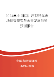 2024年中国固井压裂特车市场调查研究与未来发展前景预测报告