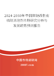 2024-2030年中国聚醚改性有机硅消泡剂市场研究分析与发展趋势预测报告