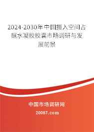 2024-2030年中国摄入空间占据水凝胶胶囊市场调研与发展前景