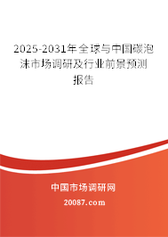 2025-2031年全球与中国碳泡沫市场调研及行业前景预测报告 2025-2031年全球与中国碳泡沫市场调研及行业前景预测报告