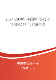 2024-2030年中国VIP芯材市场研究分析与发展前景