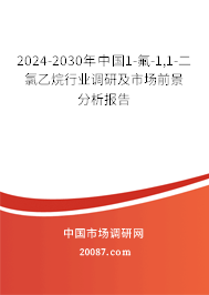 2024-2030年中国1-氟-1,1-二氯乙烷行业调研及市场前景分析报告