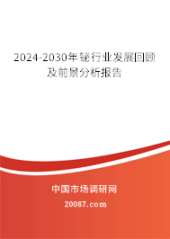 2024-2030年铋行业发展回顾及前景分析报告